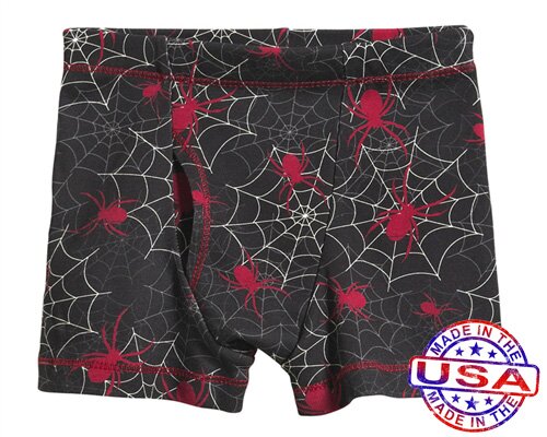 Boys' Spider Boxer Briefs by City Threads (Size: 4)