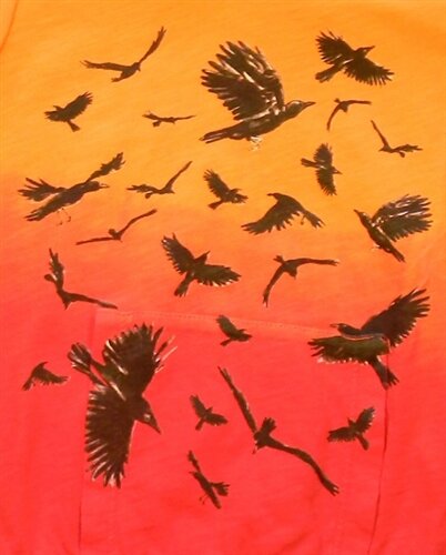 La Miniatura Boys' Ombre Flying Crows Hooded Tank Top (Size: 4)